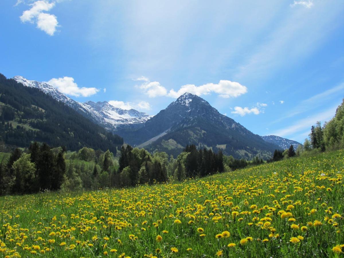 Hornblick Fewo- Ab Mai Freie Fahrt Mit Bergbahnen Oberstdorf Buitenkant foto