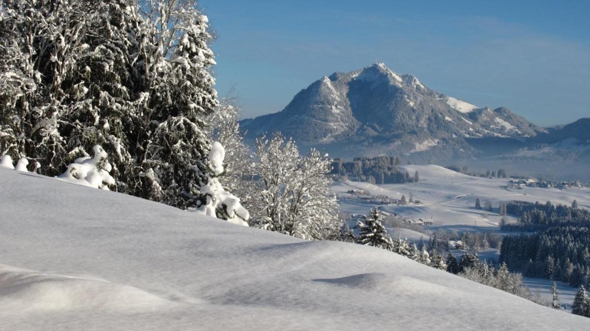 Hornblick Fewo- Ab Mai Freie Fahrt Mit Bergbahnen Oberstdorf Buitenkant foto
